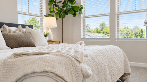 4 Bedroom Townhomes for Rent