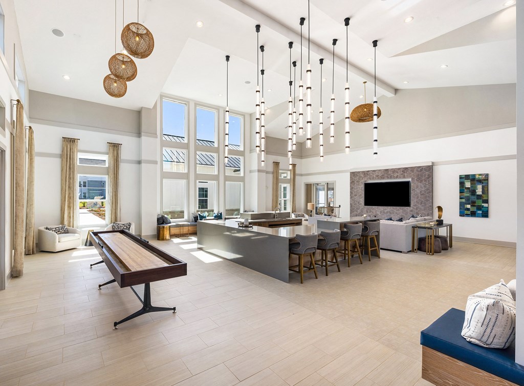 clubroom with shuffle board table and and lounging space