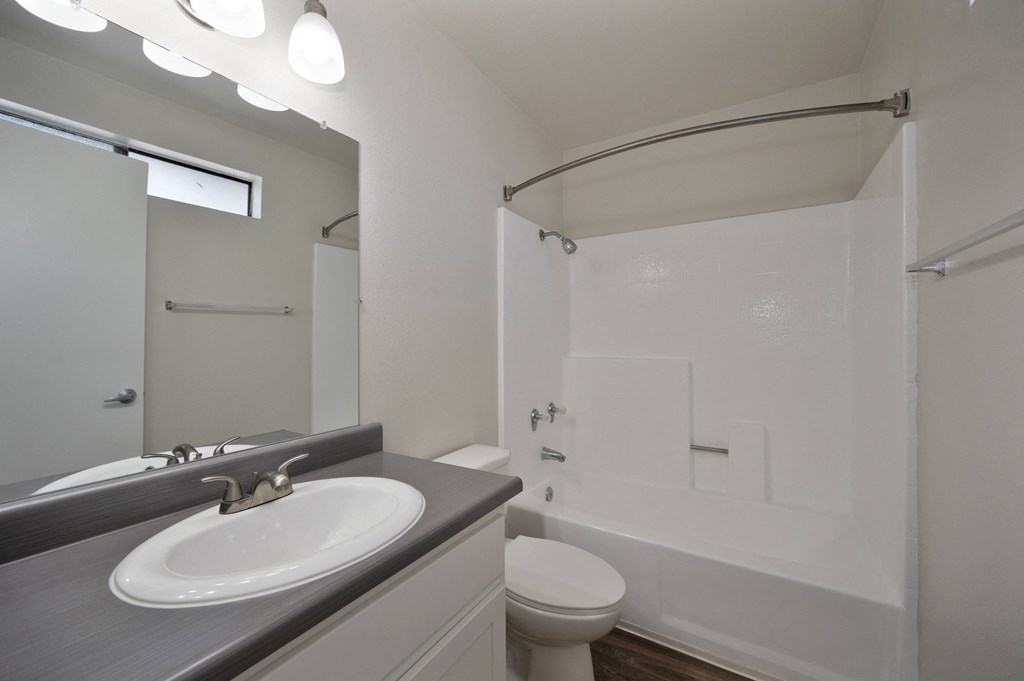 a 1-bedroom apartment bathroom with a sink and a shower and a toilet