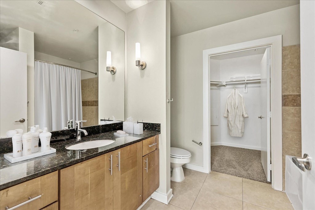 a bathroom with a sink and a toilet