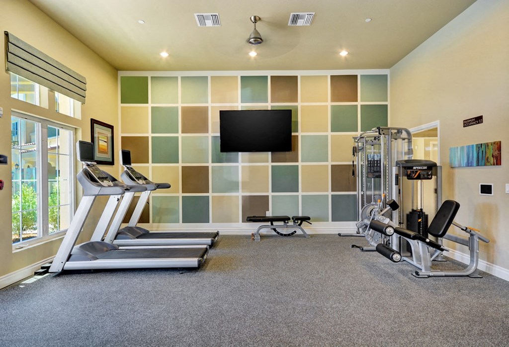 A spacious home gym with a treadmill, exercise bike, and weight machine.