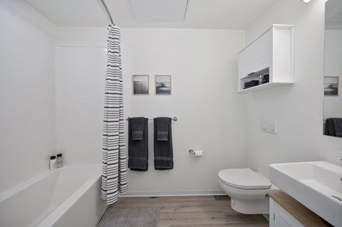a bathroom with a toilet and a tub and a sink