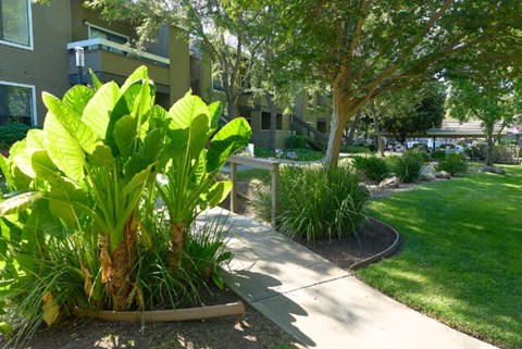 A large green plant sits in a planter in front of a building.