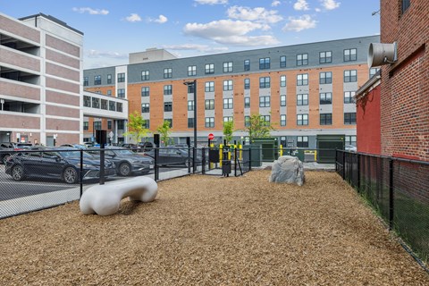 an outdoor dog park area with buildings in the background