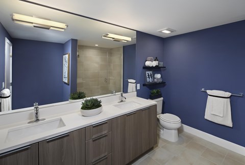A bathroom with blue walls and a white counter.