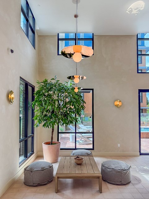 A living room with a large tree in a pot, a wooden table, and a hanging light fixture.