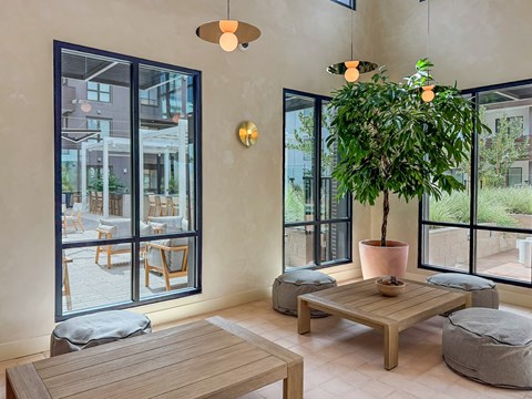 A room with a large window, a wooden table, and a potted plant.