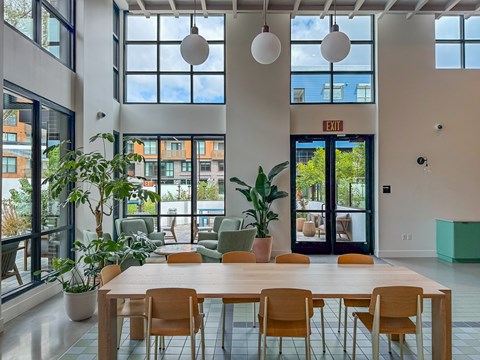 A conference room with a long table and chairs, a potted plant, and a view of the outdoors through large windows.