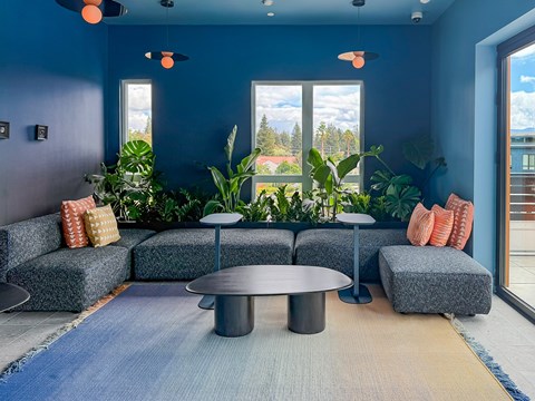 A modern living room with a grey sofa and a round coffee table.