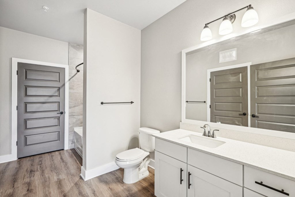 a bathroom with a sink and a toilet and a mirror