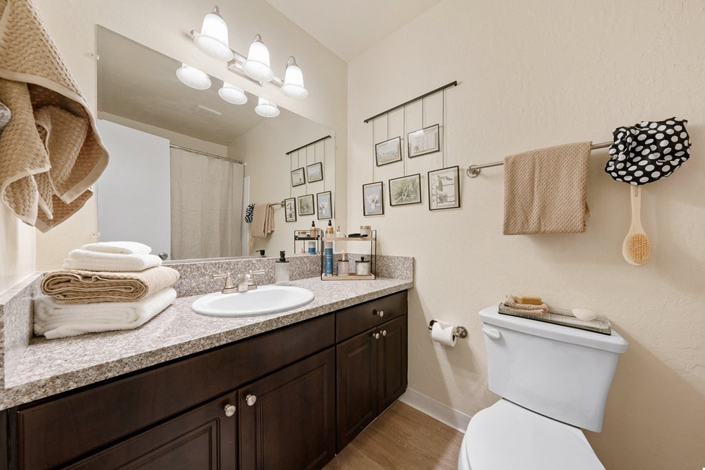 our apartments offer a bathroom with a shower