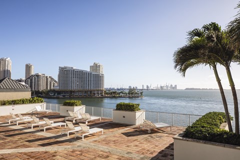 A patio with chairs and a palm tree overlooks a body of water with buildings in the distance.