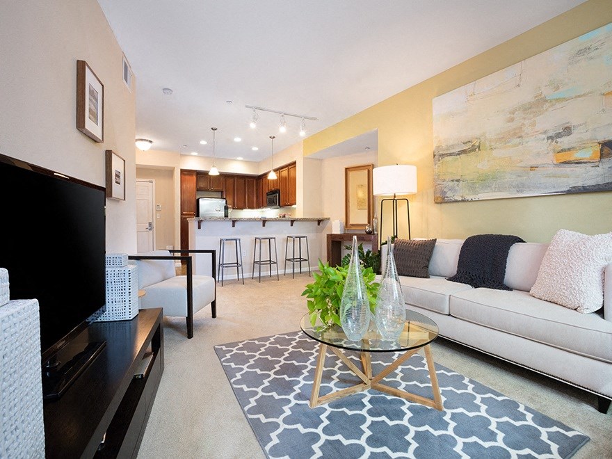 model furnished living room