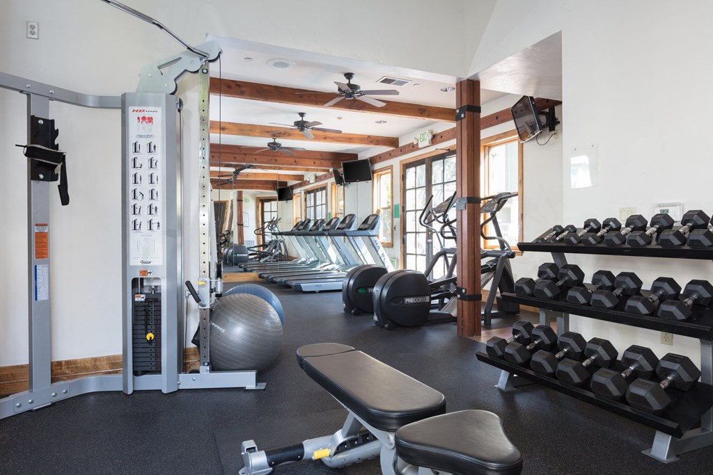 Fitness Center with Cardio Equipment and Weights