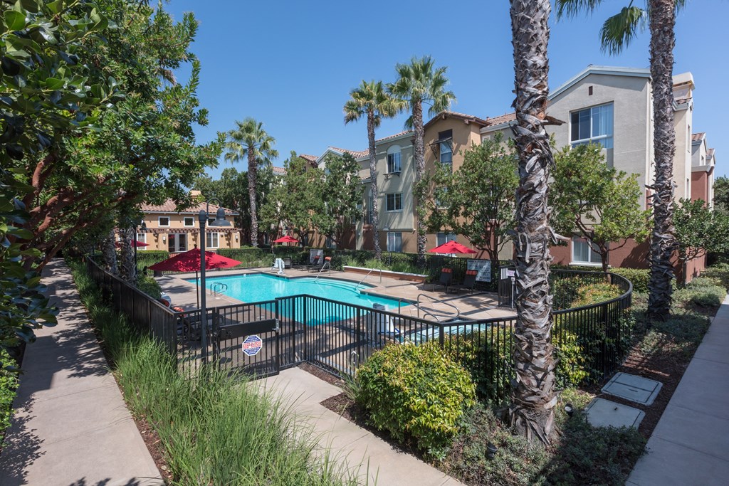 Outdoor Pool and landscaping