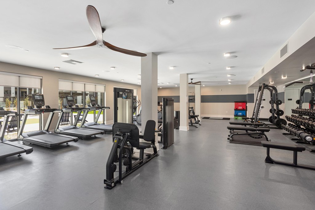 A spacious gym with a variety of equipment including treadmills, weight machines, and a fan.
