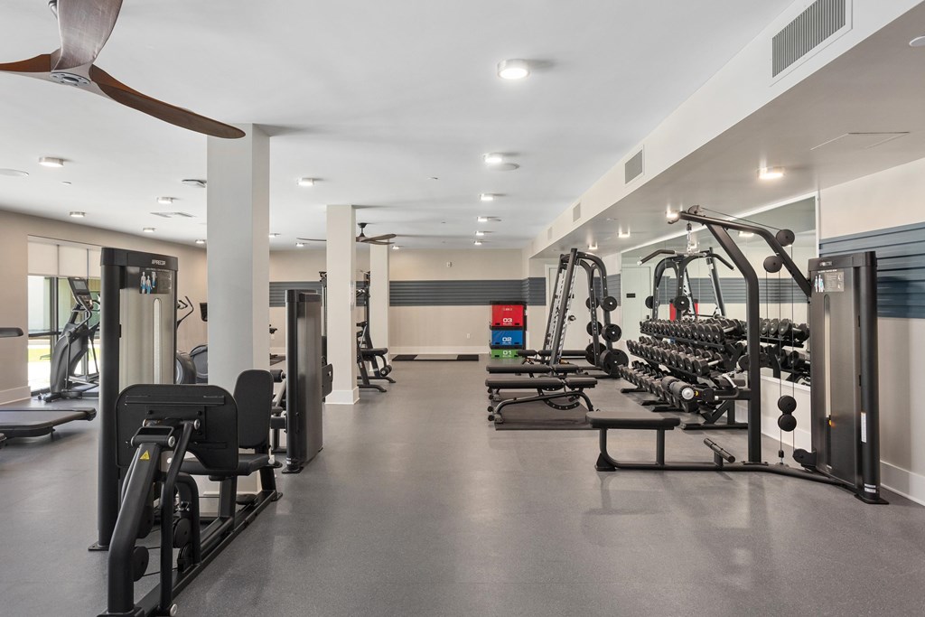A spacious gym with a variety of equipment.