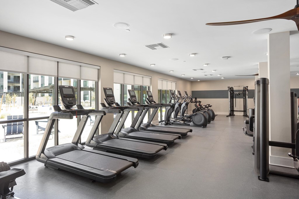 A gym with treadmills and elliptical machines.