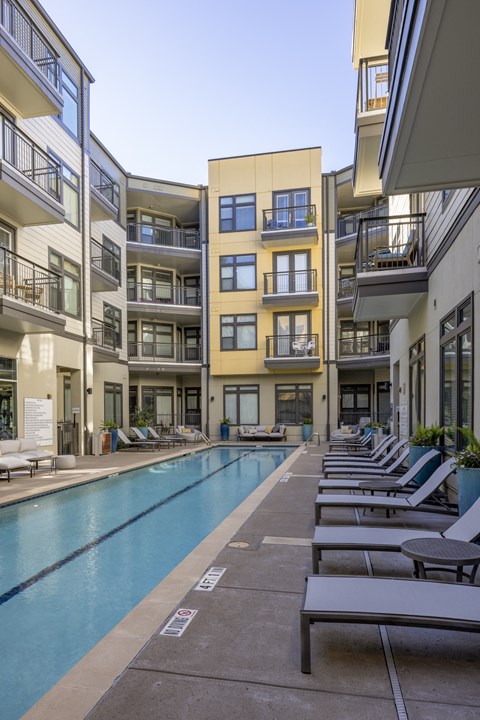 our apartments showcase an unique swimming pool