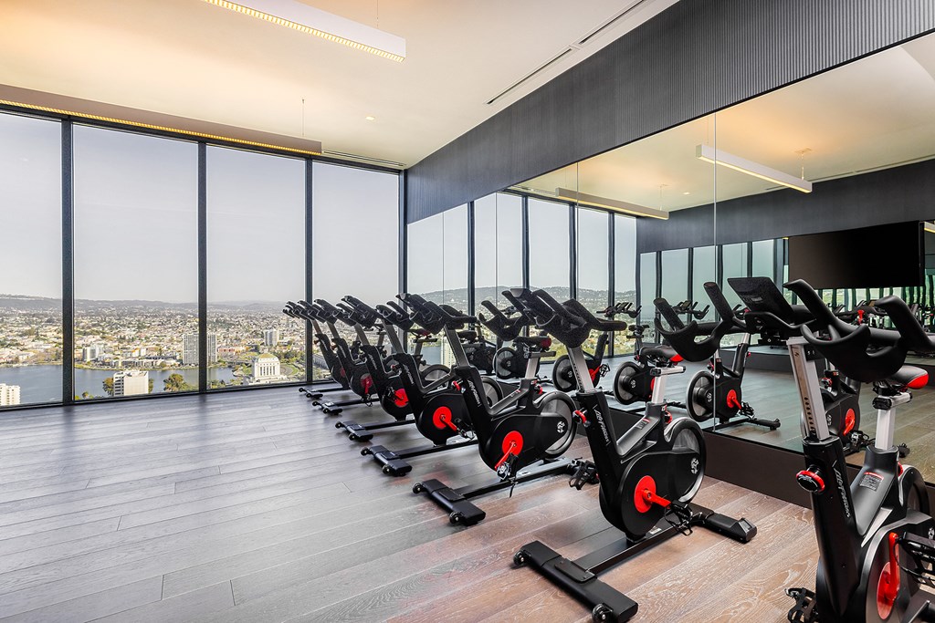 Spin and Yoga Studio