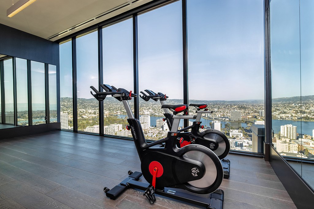 Spin and Yoga Studio