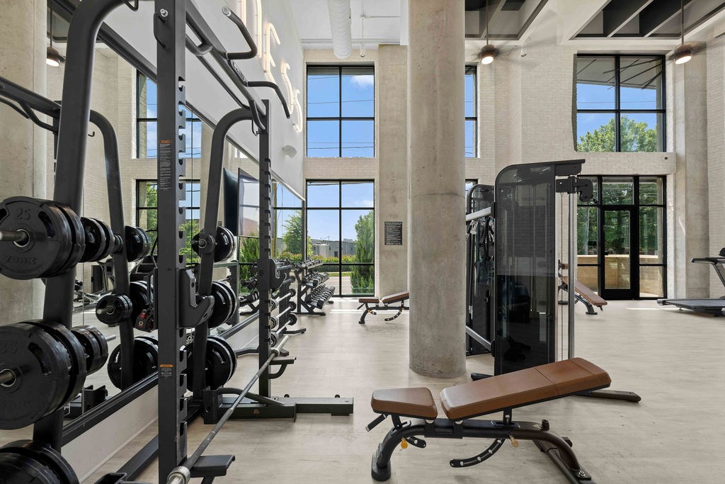 A gym with a row of dumbbells and a bench.