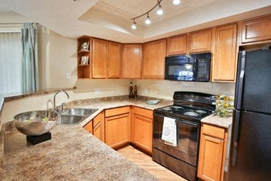 3939 W. Windmills Blvd. 1 Bed Apartment for Rent Photo Gallery 1