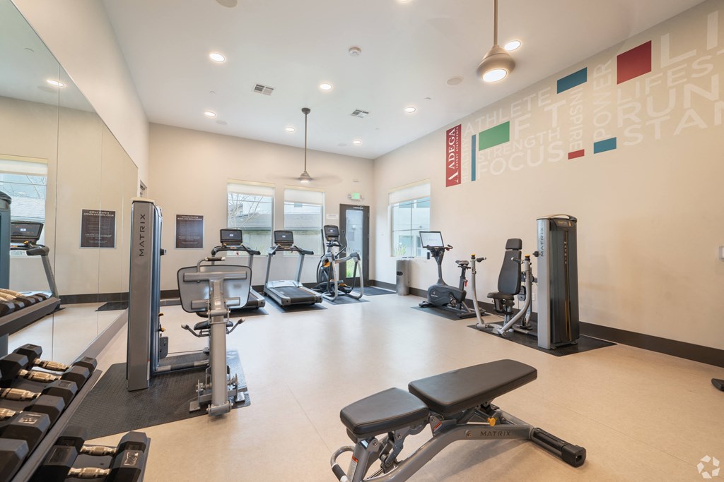 a gym with cardio machines and weights on the floor and a wall of windows