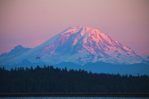 A mountain with a snow-covered peak and a bird flying in the sky.