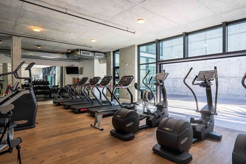 A gym with treadmills, elliptical machines, and other exercise equipment.