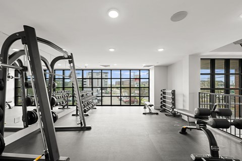 A gym with a row of treadmills and a row of dumbbells.
