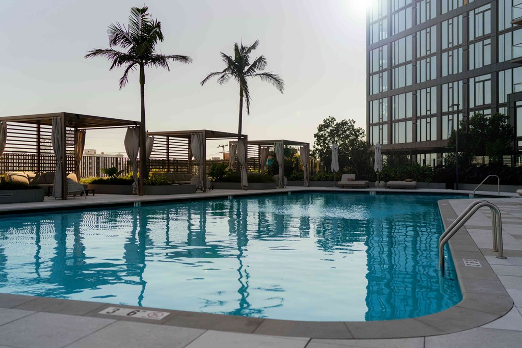 A swimming pool surrounded by palm trees and a building in the background.