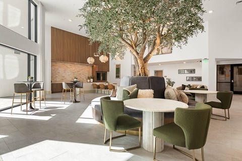 A living room with a tree in the middle and a dining table with chairs around it.