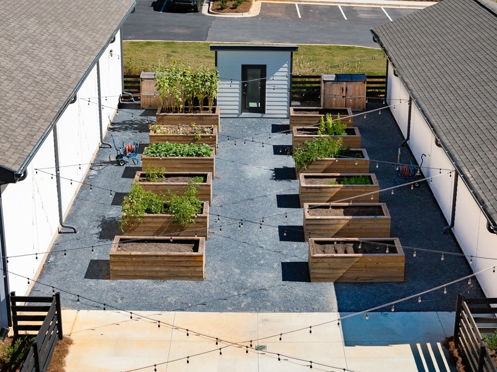 a view of the rooftop garden from the roof of a house