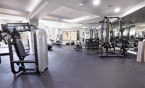 the gym at the wheatsheaf by trafalgar