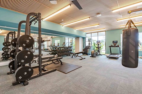 A gym with a variety of equipment including weights and a punching bag.