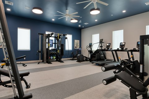 A gym with a variety of equipment including treadmills, weights, and a bench press.