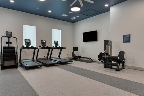 A gym with treadmills, elliptical machines, and a television.