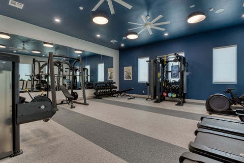A gym with a variety of equipment including treadmills, weights, and a bench press.
