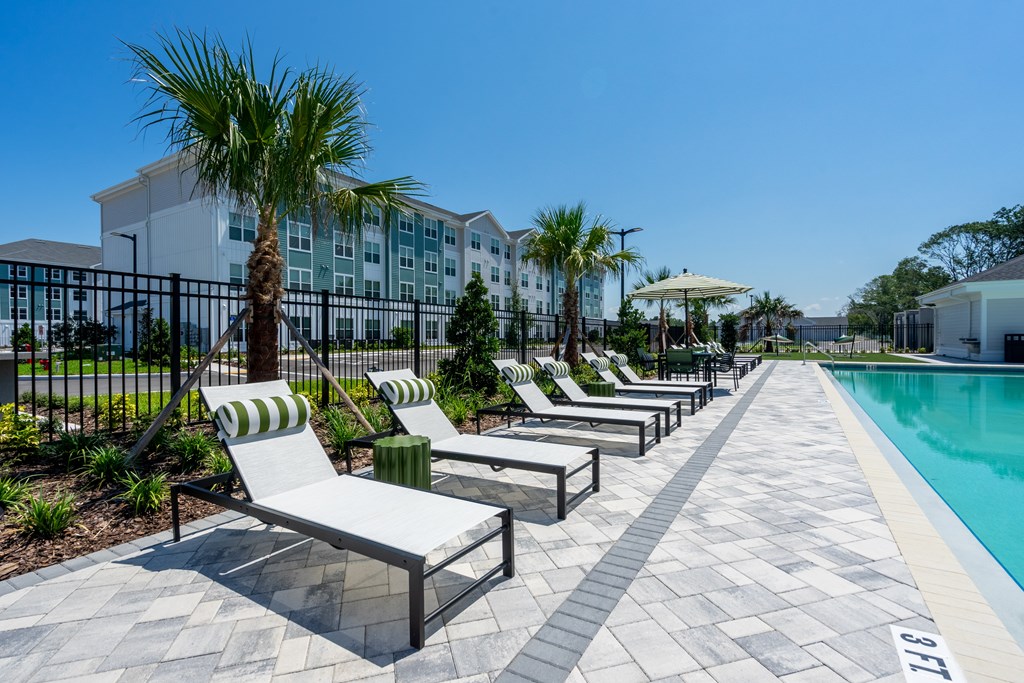 A poolside area with lounge chairs and a palm tree.