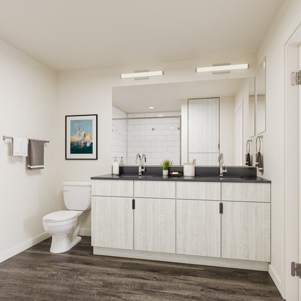 a bathroom with a toilet and a sink and a mirror