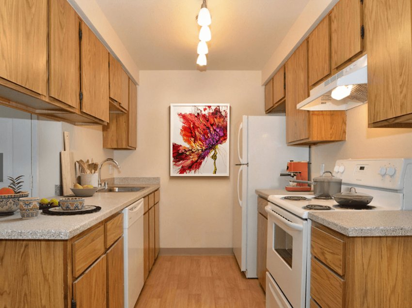 Kitchen - Photo Gallery