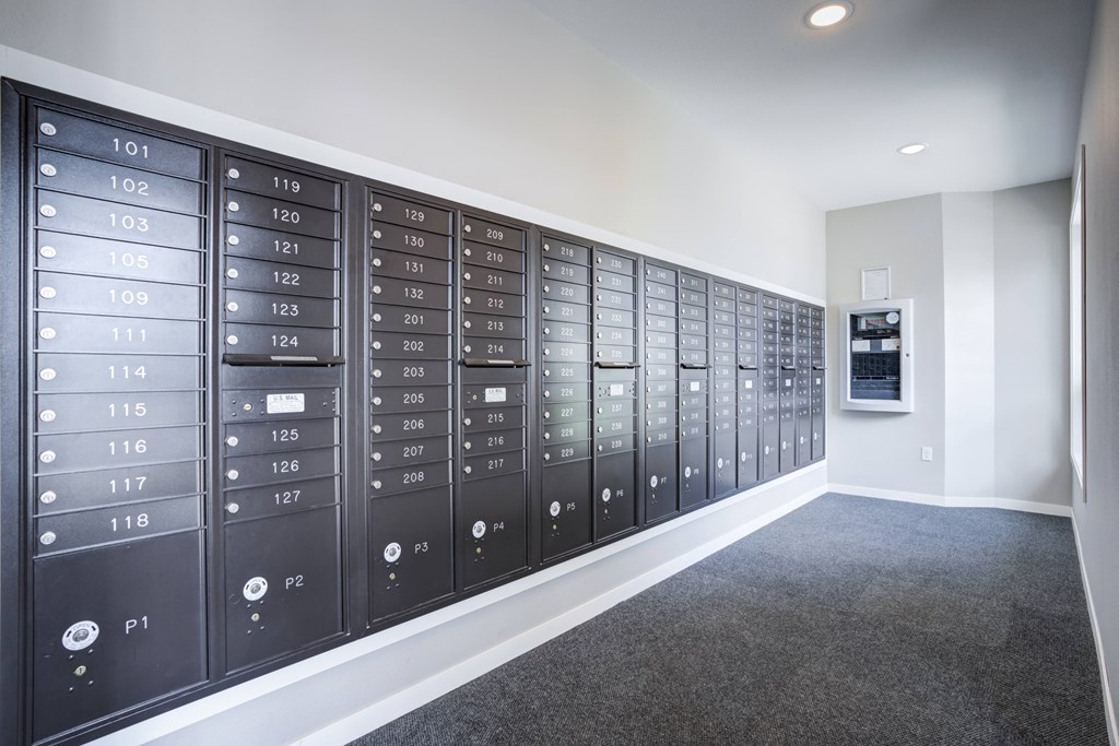 a view of a lockers in a room with carpeting