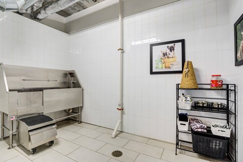 the kitchen has a stainless steel sink and a mixer and a metal shelf with baskets