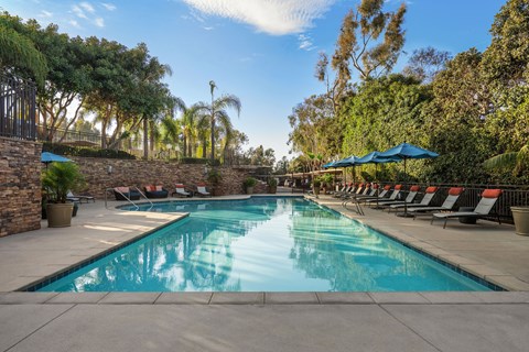 A large outdoor swimming pool surrounded by trees and lounge chairs.