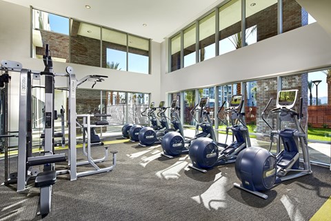 A gym with a variety of equipment including treadmills, weights, and exercise machines.