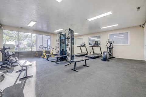 A gym with a variety of equipment including treadmills, weights, and benches.