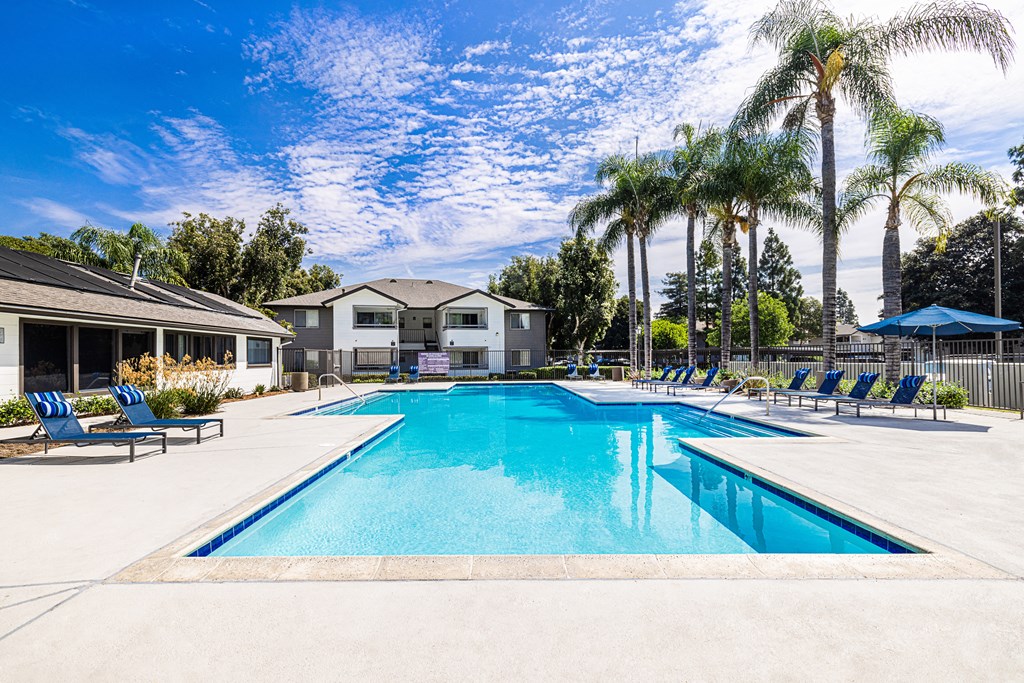 Pool at the Ashton Apartments