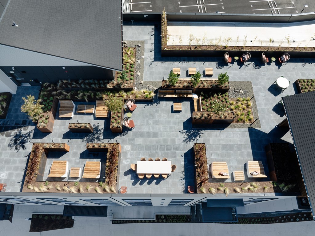 A rooftop patio with multiple seating arrangements and greenery.