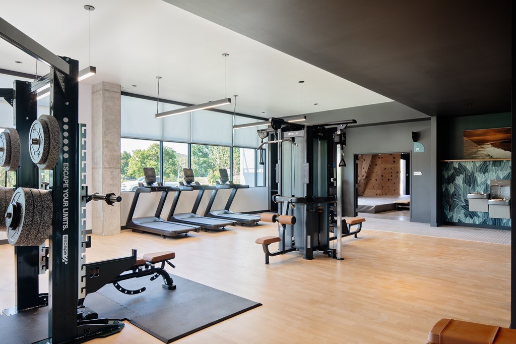 A gym with a row of treadmills and a row of exercise bikes.